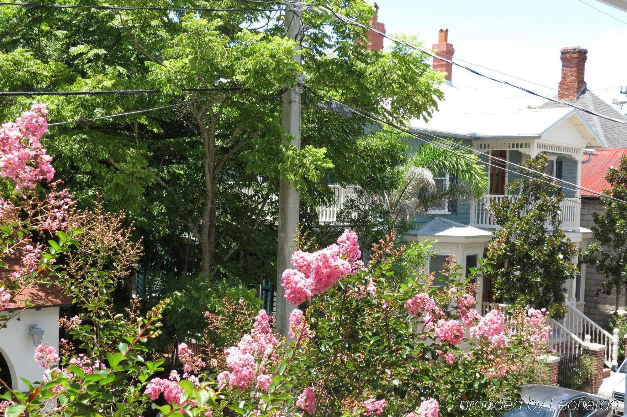 Bayfront Westcott House Bed & Breakfast St. Augustine Esterno foto