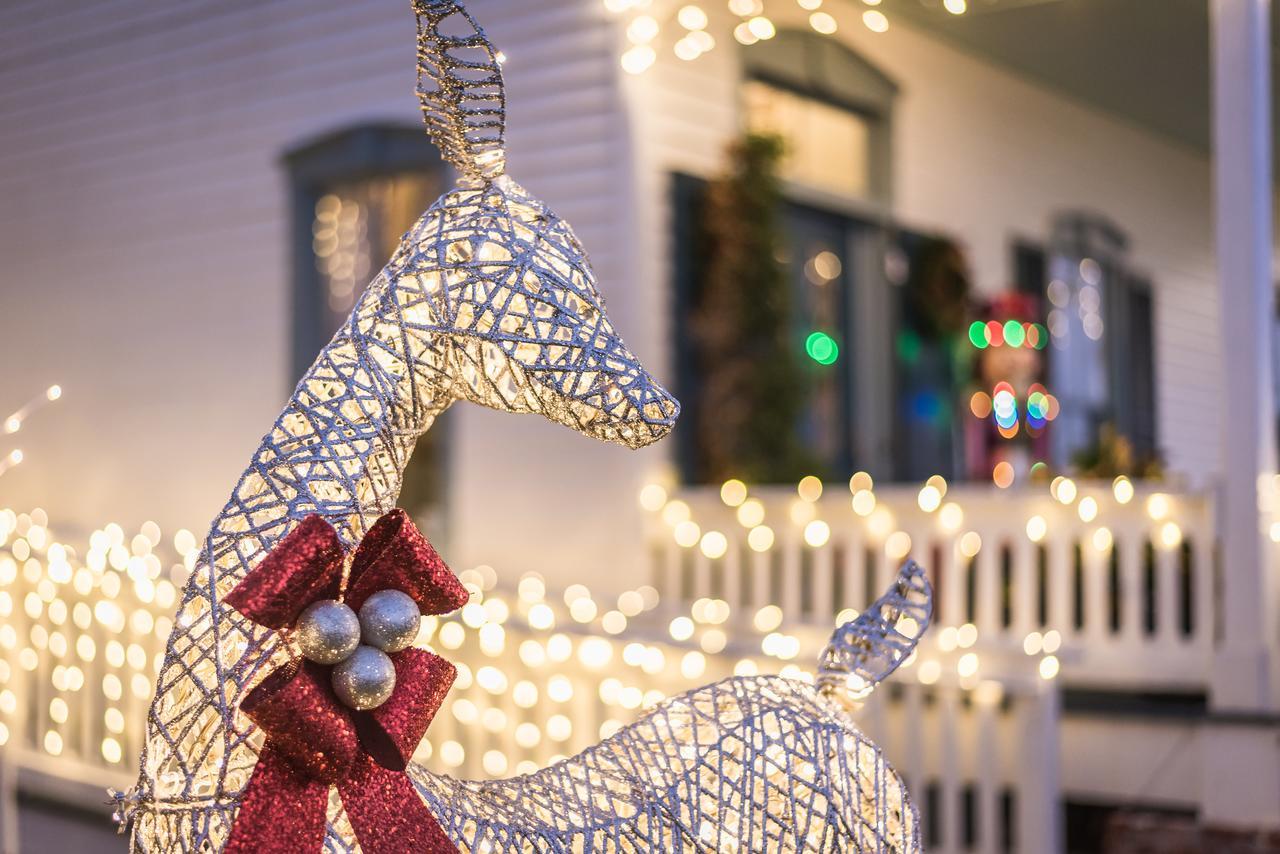 Bayfront Westcott House Bed & Breakfast St. Augustine Esterno foto